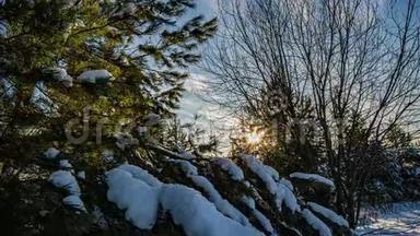 冬天在森林里<strong>下雪</strong>，圣诞节晚上<strong>下雪</strong>。 在圣诞公园里，<strong>下雪</strong>了。 美丽美丽